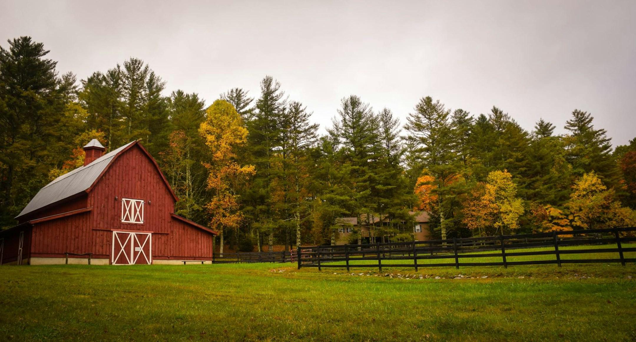 Protecting Small Farming & Business